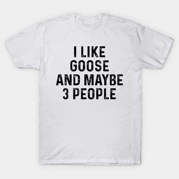 I Like Goose And Maybe 3 People Funny T-Shirt by HeroGifts